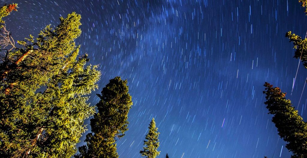 low-angle-shot-1844938_1280-1024x527 Home
